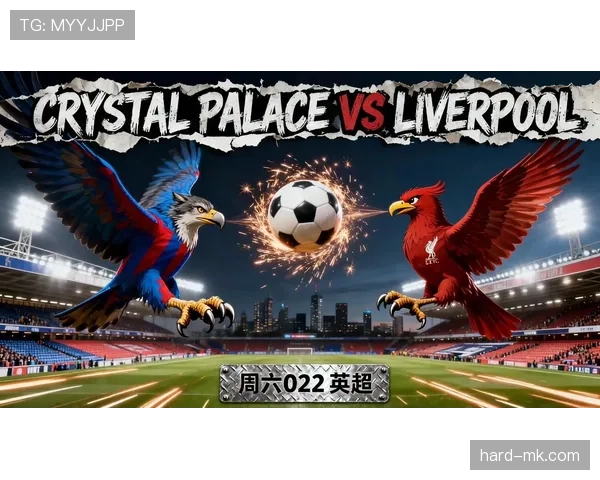 英超水晶宫转会窗